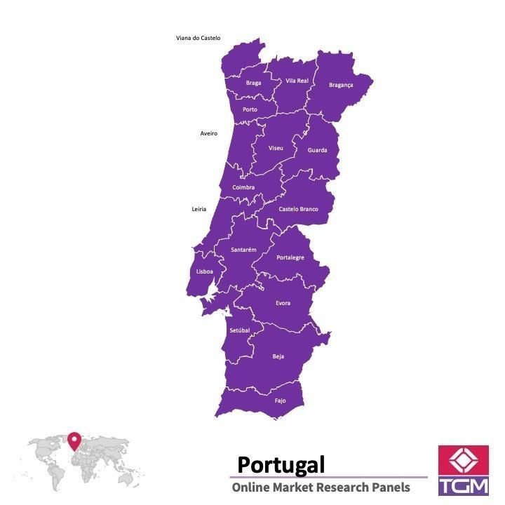 Onlinepanel i Portugal|  Marknadsundersökning i Portugal