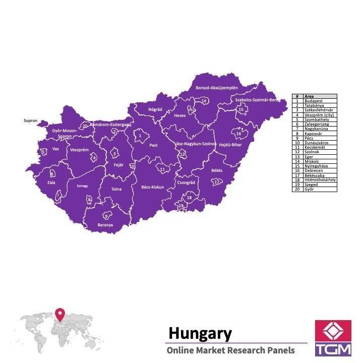 Onlinepanel i Ungern|  Marknadsundersökning i Ungern