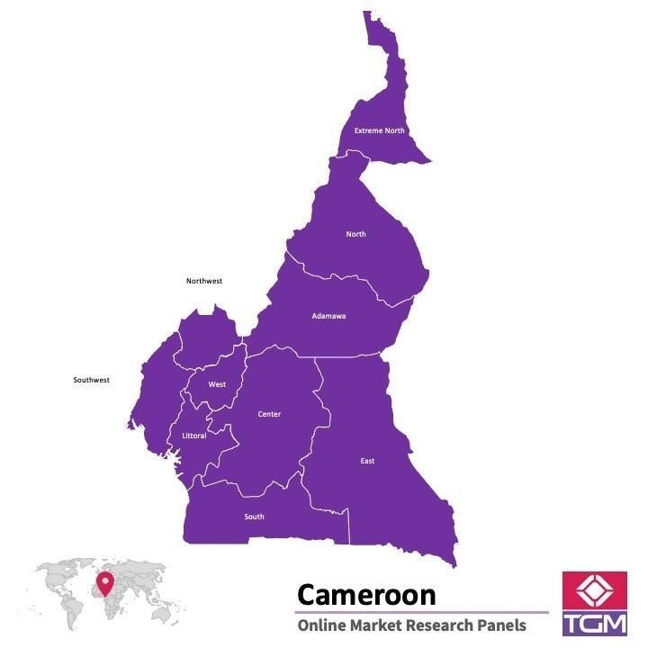 Onlinepanel i Kamerun|  Marknadsundersökning i Kamerun