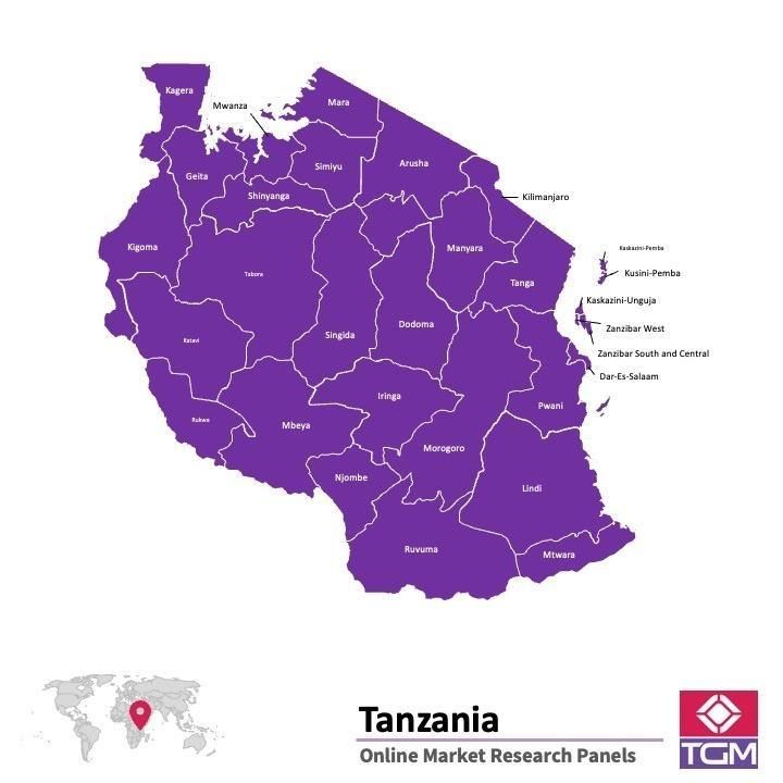 Onlinepanel i Tanzania|  Marknadsundersökning i Tanzania