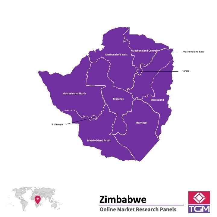 Onlinepanel i Zimbabwe|  Marknadsundersökning i Zimbabwe